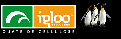 logo_igloo